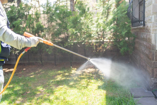 Best Pest Control for Businesses  in Maben, MS