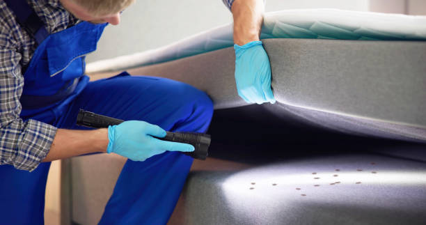 Best Best Pest Control Companies  in Maben, MS